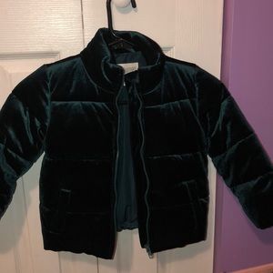 Baby girls Gymboree stylish velvet puffer coat